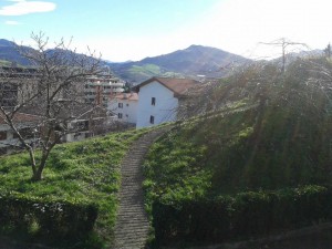 Limpieza Desbroce