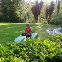 Mamtenimiento de jardines en Donosti