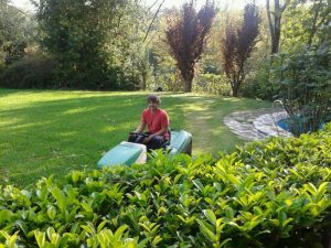 Mamtenimiento de jardines en Donosti