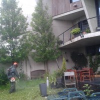 Mantenimiento de jardines en Donostialdea