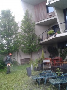 Mantenimiento de jardines en Donostialdea