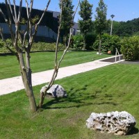 Mantenimiento de jardines en Donostialdea