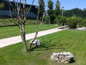 Mantenimiento de jardines en Donostialdea