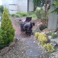 Mantenimiento de jardines en Donostialdea