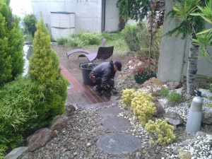 Mantenimiento de jardines en Donostialdea