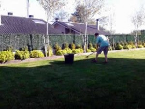 Reparación y resiembra de claros