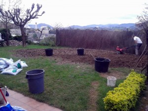 Resiembra y reparación de jardines-donostia