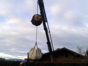 Maquinaria especializada para grandes podas