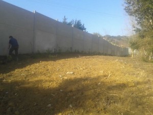 Plantación laureles y cesped en autopista A8