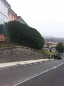 Poda en Lasarte