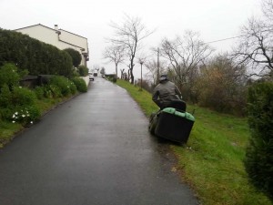 Mantenimiento jardines en Aia
