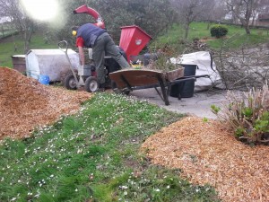 Limpieza terreno y podas en Igeldo
