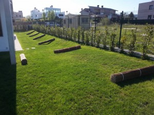 Cerramiento de mimbre para jardín