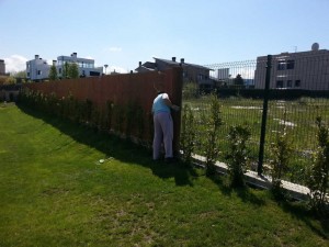 Cerramiento de mimbre para jardín