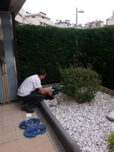 mantenimiento jardín Berio