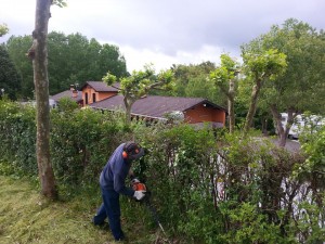 Mantenimiento de jardines en Donostia