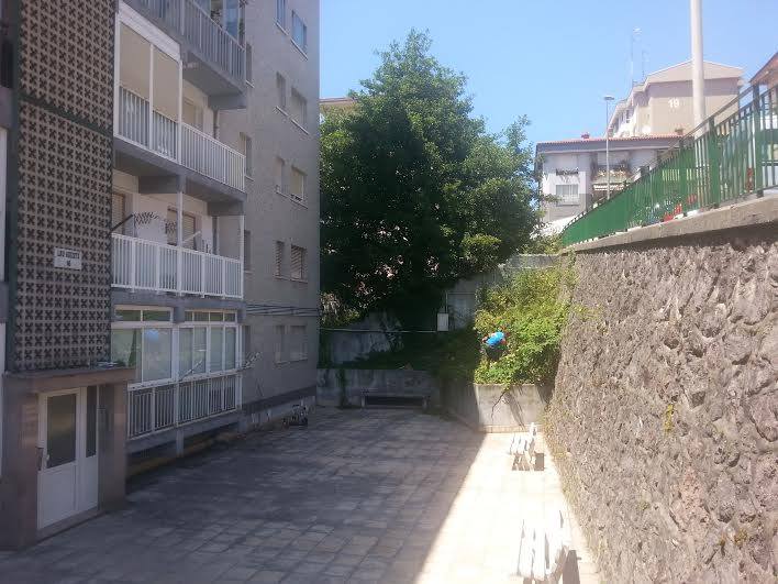 Desbroce limpieza Alza