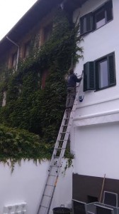 mantenimiento ondarreta