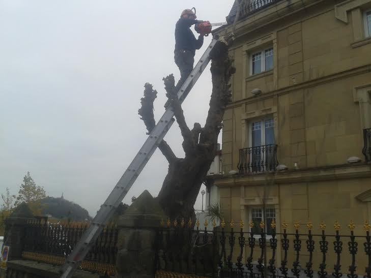 services de jardinage à Donostia