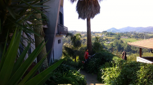 Jardineria en Donostia