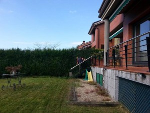 trabajos de jardineria en Donostia