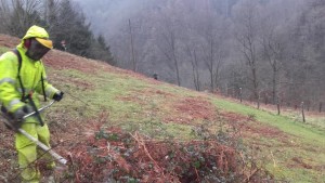 Mendi garbiketak eta desbrozeak