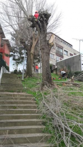 tala Egia