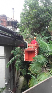 services de jardinage à Donostia