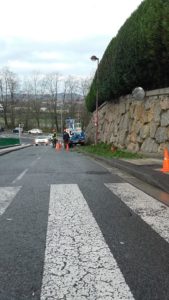 Poda de setos en Begiristain doktorea pasealekua