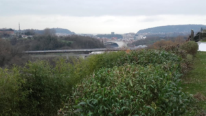 Mantenua Donostian