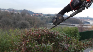 Podas y plantación en Donostia