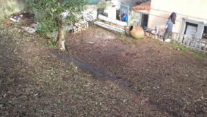 Podas,desbroce y limpieza en general en Lorete kalea