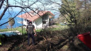 trabajos de jardineria en Donostia