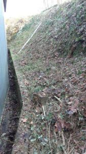 mantenuak eta jardineritza lanak enpresentzako