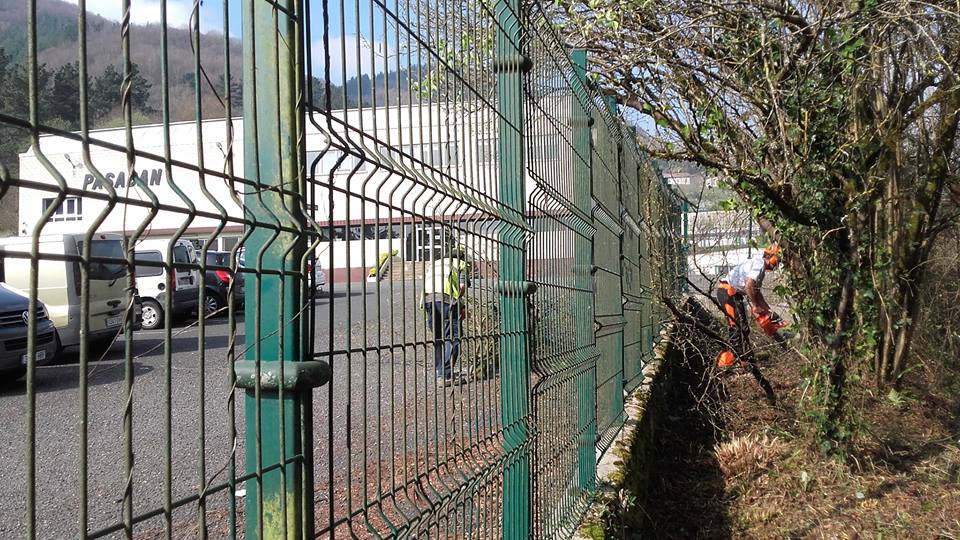 trabajos de jardineria para empresas
