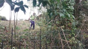 limpieza de terreno y cierre con estacas