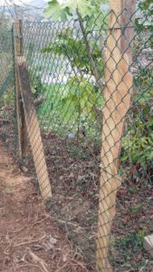 Limpieza de terreno y cierre con estacas