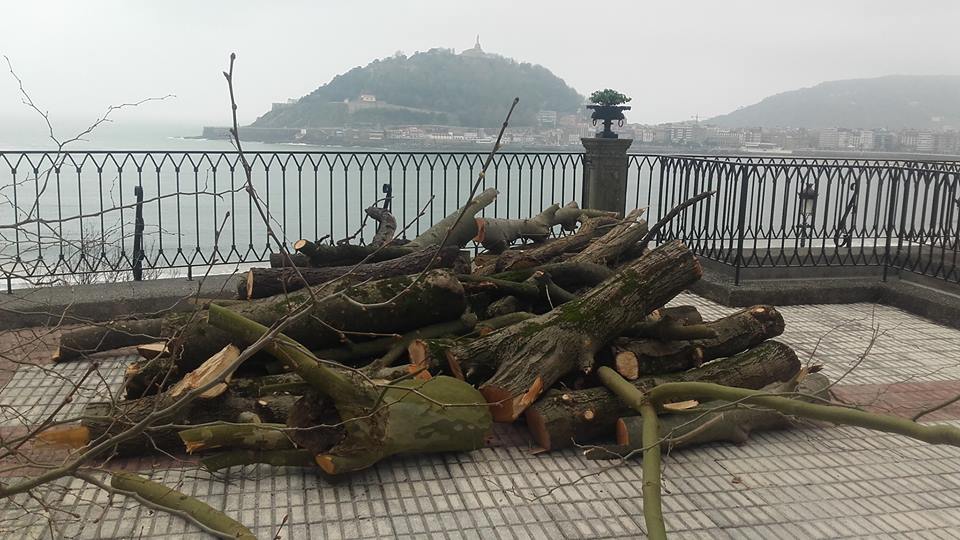 kimaketa altueran Donostian
