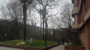 Kimaketa altueran Donostian