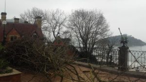 Poda en altura y mantenimiento en Miraconcha ,Donostia