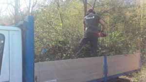 Desbroce ,tala y limpieza en Hernani