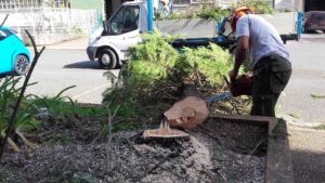 trababjos de jardineria en Hernani