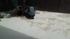 coclocación de cesped artificial en Gipuzkoa