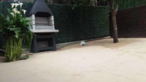 Jardin artifiziala Donostian