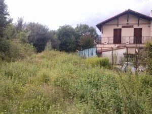 desbroce en Lapitze