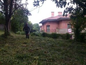 desbroce en Irun