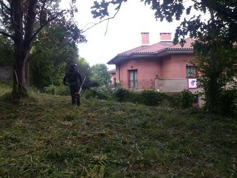 desbroce en Irun