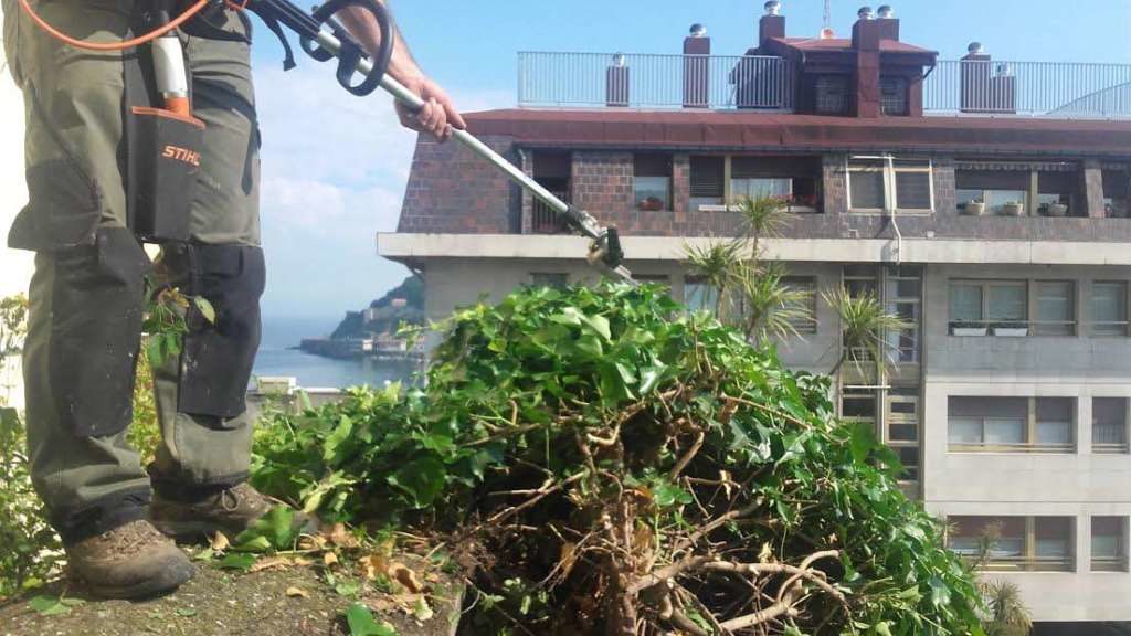 trabajos de jardineria en Aldapeta