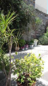 trabajos de jardineria