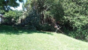 Trabajos de jardineria en Gipuzkoa